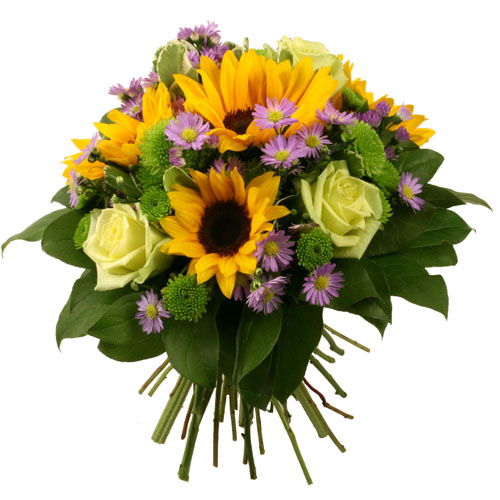 Владивосток цветы доставка, доставка цветов по россии недорого, комнатные цветы с доставкой, доставка цветов зеленоград