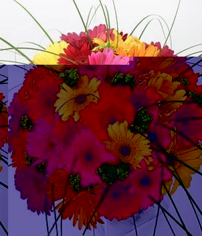 Свадебные цветы, доставка цветов чебоксары, цветы доставка круглосуточно, доставка цветов по москве дешево, доставка цветов низкие цены