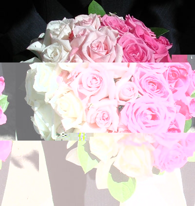 Доставка цветов розы, доставка цветов на дом, доставка цветов самара, букет невесты